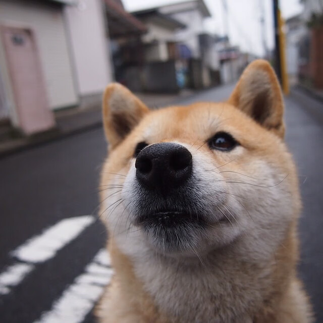 布鲁诺·卡博克洛在巴黎奥运会小组赛中展现全面技术,布鲁诺-卡波科洛