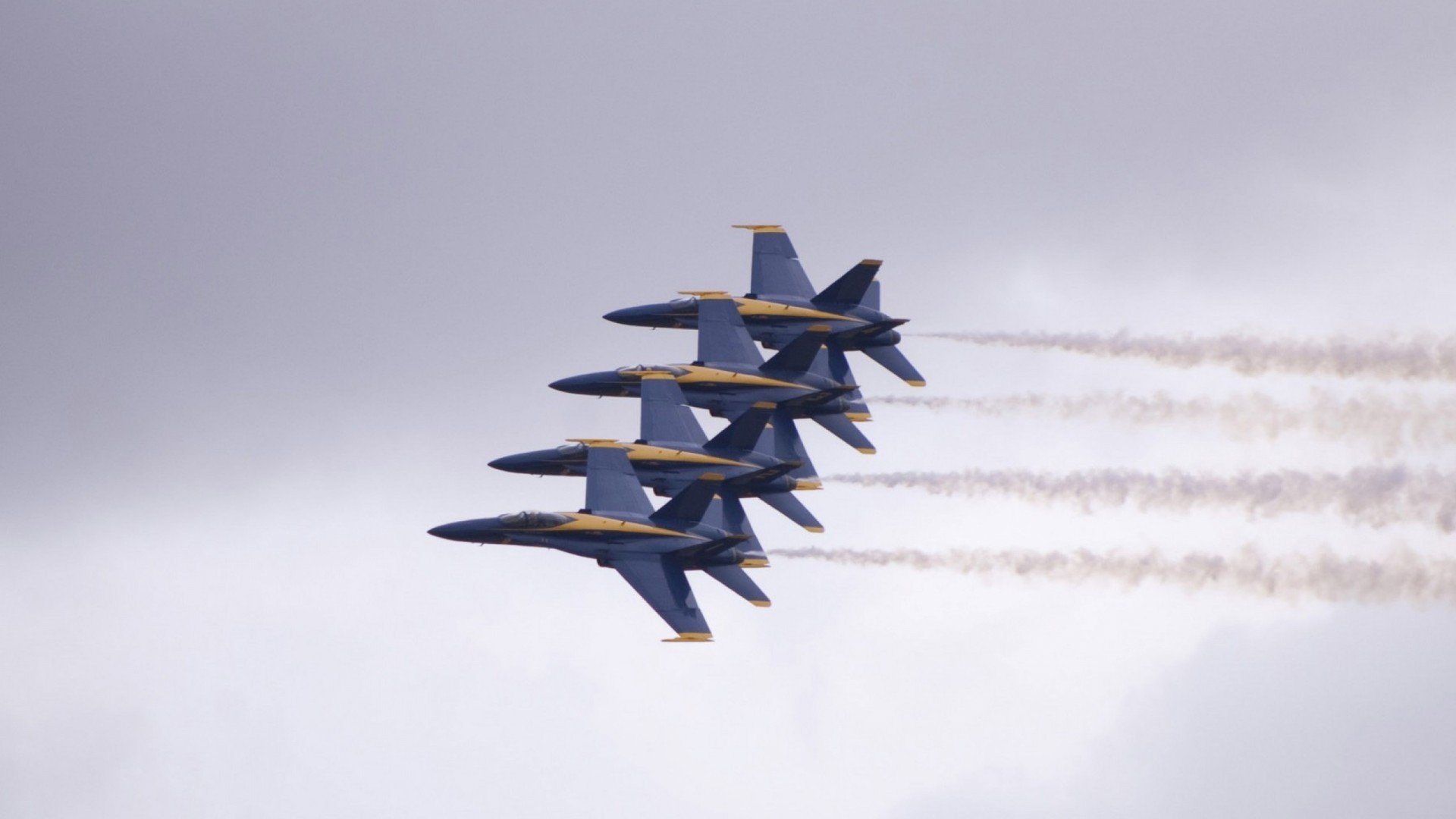 美国马术协会设立青少年马术奖学金，支持优秀学员发展。，马术获奖