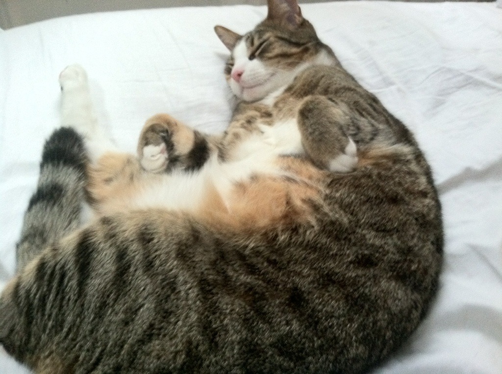 青岛海牛新赛季表现平稳,稳中求进,今天下午青岛海牛比赛直播