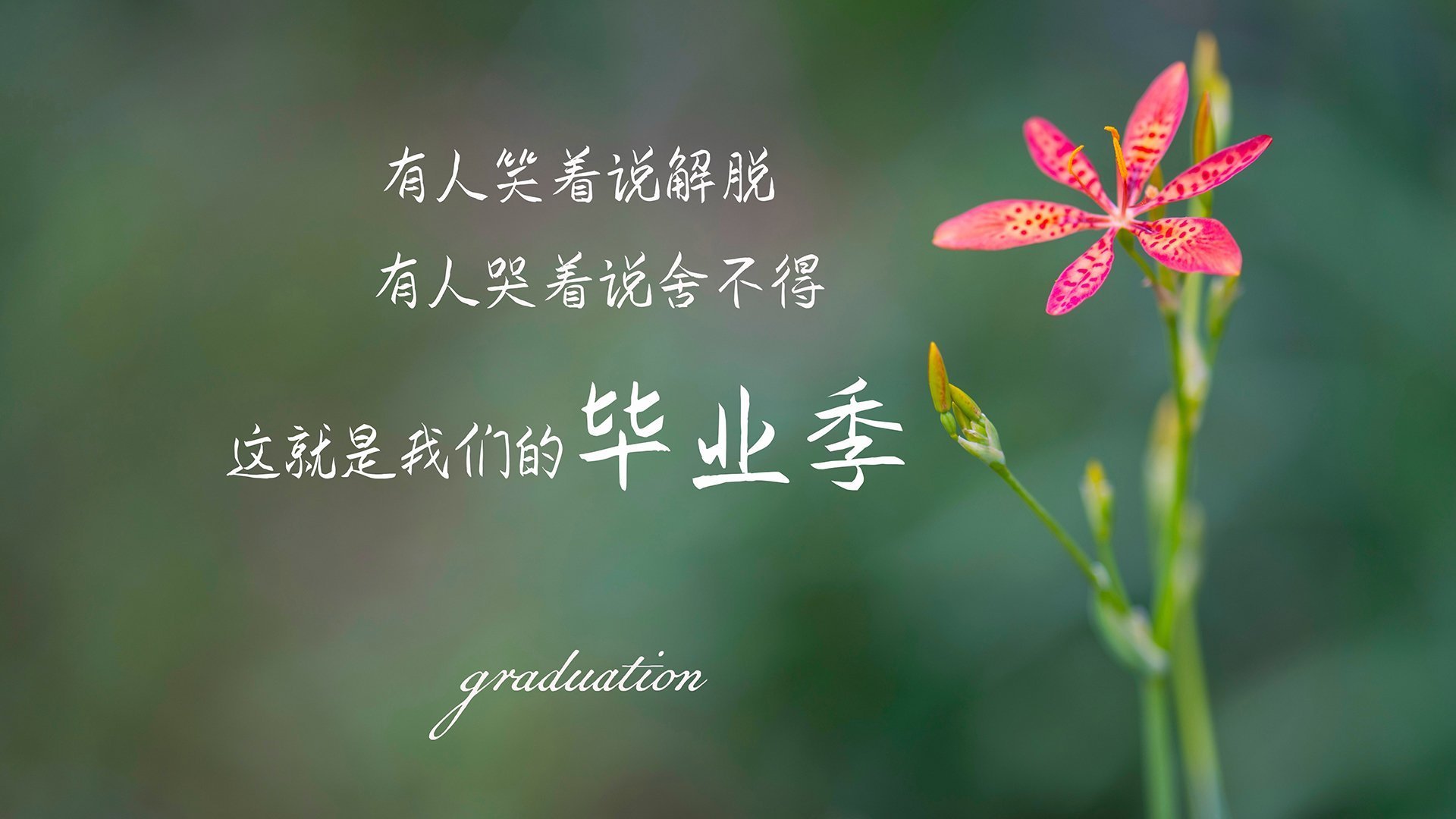 爱游戏体育官方网站-FaZe计划推出LOL联名潮服，faze 队服