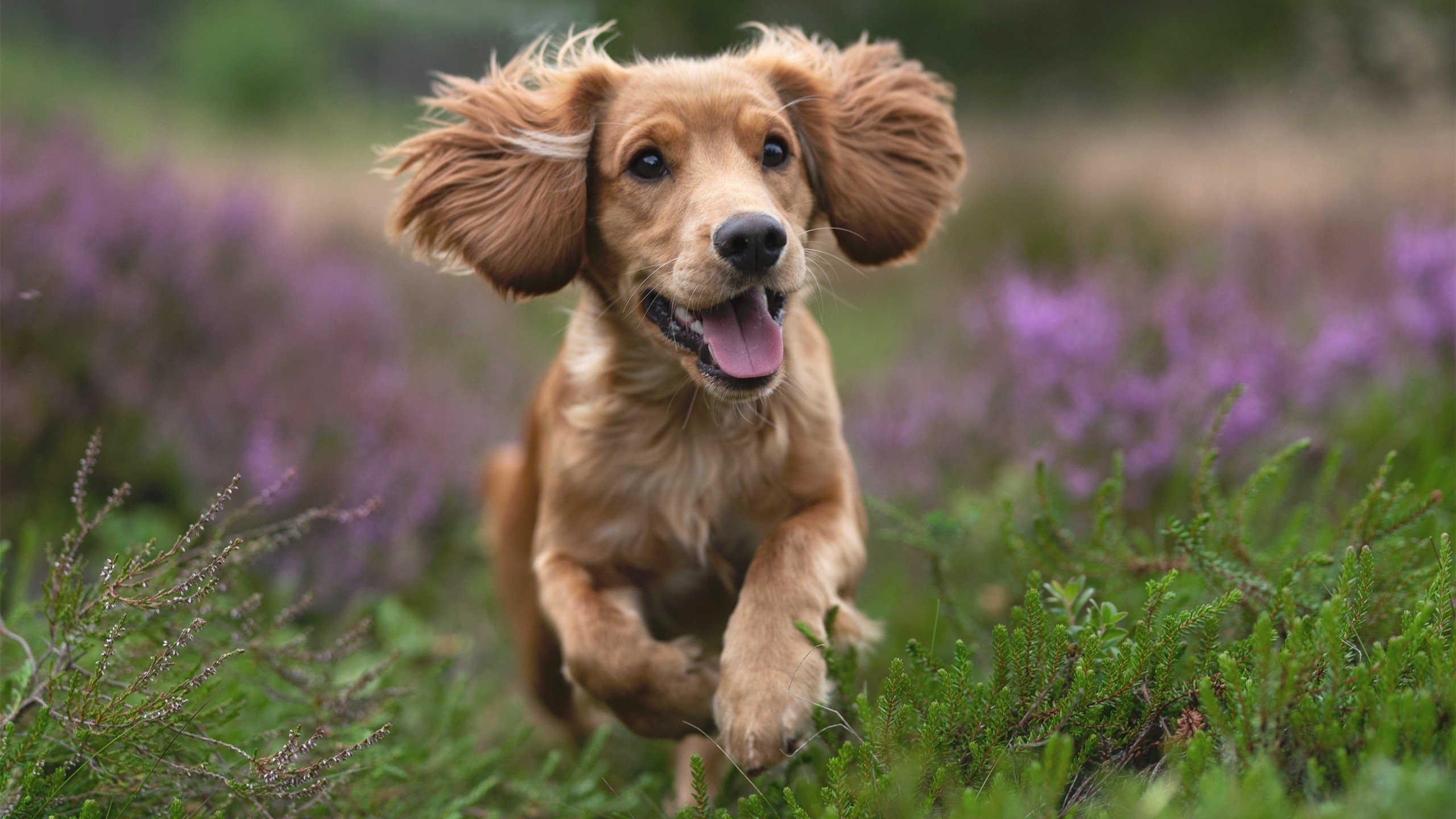 爱游戏体育（AYX）官方APP下载-伊朗球队合影全员戴手套围巾，时尚圈点赞“冷酷战士”