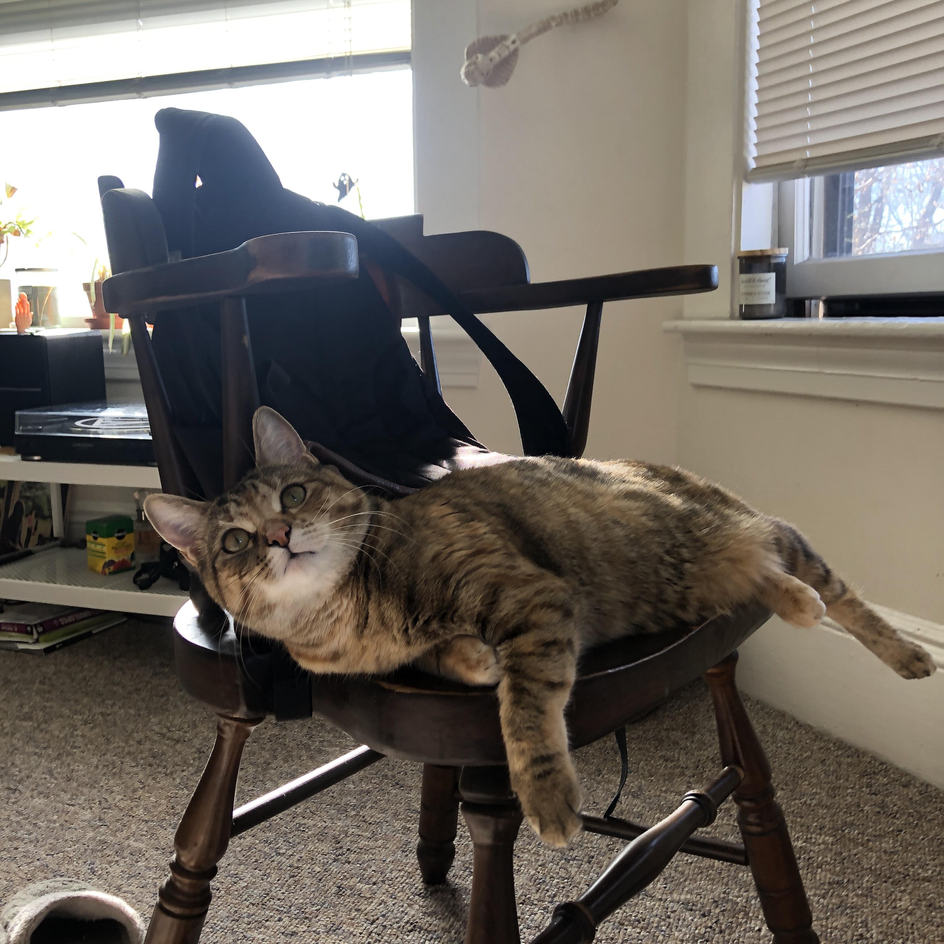 爱游戏体育app-多名国脚参与俱乐部比赛，表现出色引关注，国脚什么