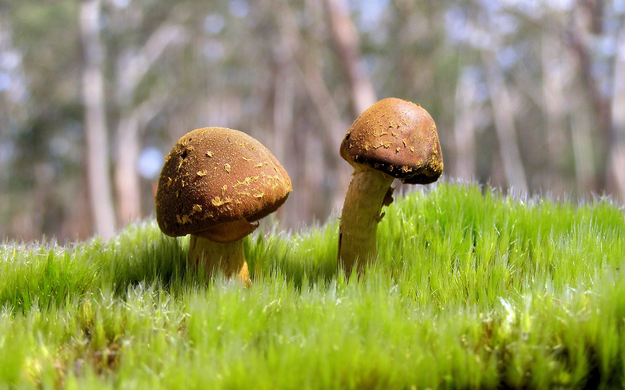 爱游戏娱乐-多特蒙德大胜比赛，连续胜利势头强劲，多特蒙德的比赛直播