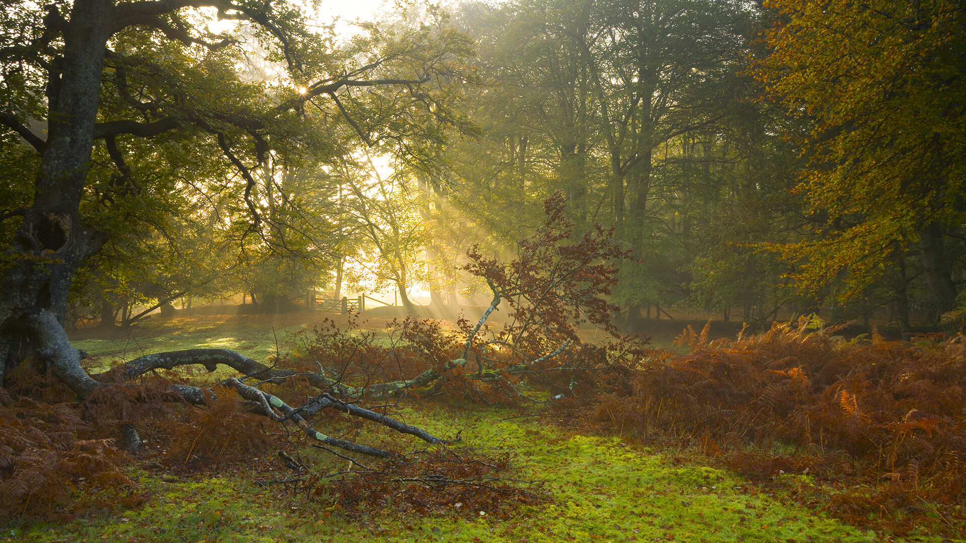 AIYOUXI.COM-体育产业绿色创新实践，体育创意产业