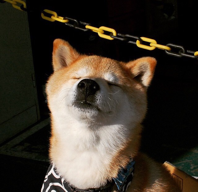 爱游戏体育app-中国女篮提升出球速度打乱防守节奏，中国女篮什么成绩