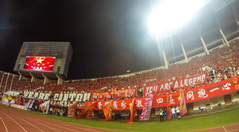 爱游戏体育（AYX）官方APP下载-场馆设施翻新完成比赛场地改造计划推进，场馆设计方案