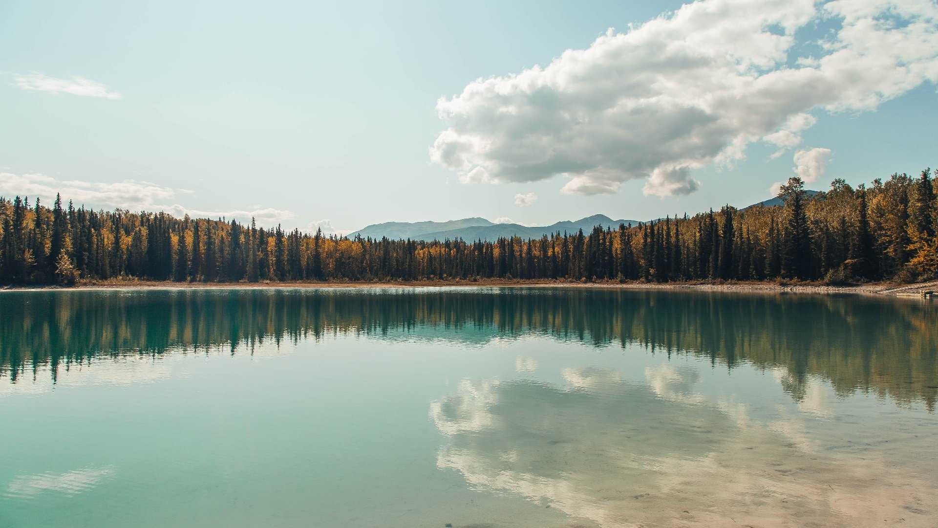 职业联赛恢复稳定运营吸引更多企业重新投资,什么叫职业联赛