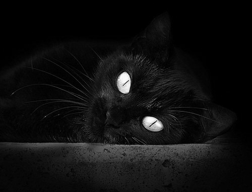 英超最激烈的比拼:胜利的背后是无尽努力,英超全胜多少分